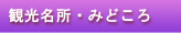 観光情報